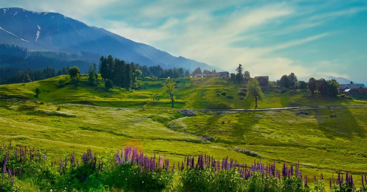 When Is the Best Time to Visit Kashmir with Family? (A Season-by-Season Guide)