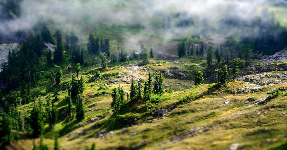 9 Mistakes First-Time Travelers Make When Planning a Kashmir Trip (And How to Avoid Them)