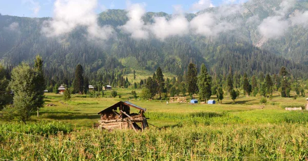 Before You Book Kashmir Trip, Read This First (2026 Planning Guide for Families)