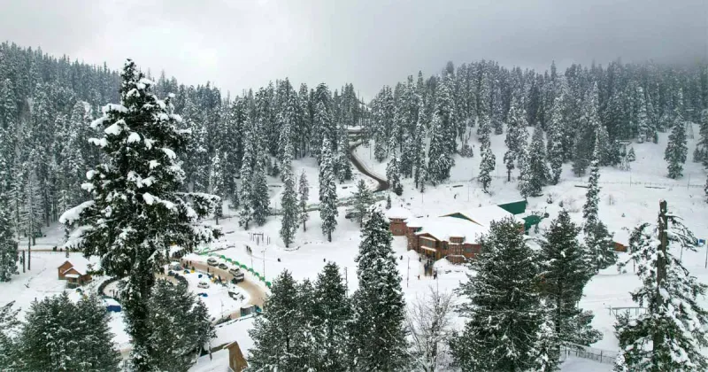 Where Should You Stay in Kashmir: Srinagar, Gulmarg or Pahalgam?