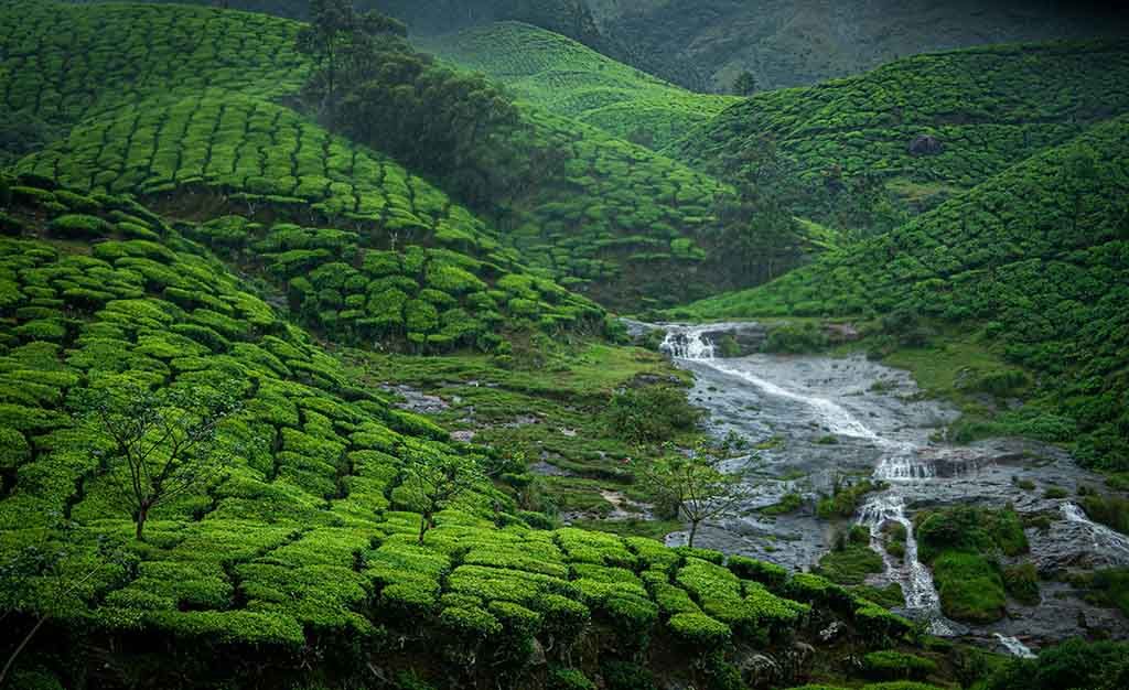 Munnar
