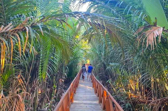 Yerrata Mangrove Walkway